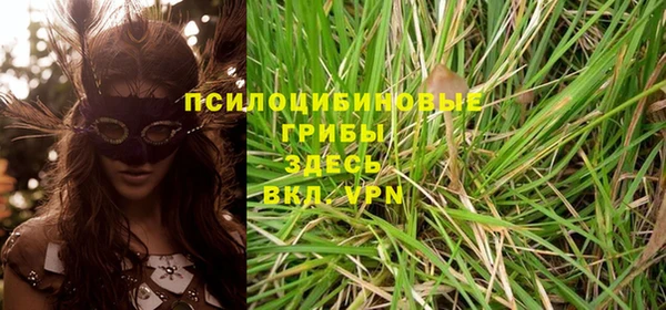 ALPHA PVP Алексеевка