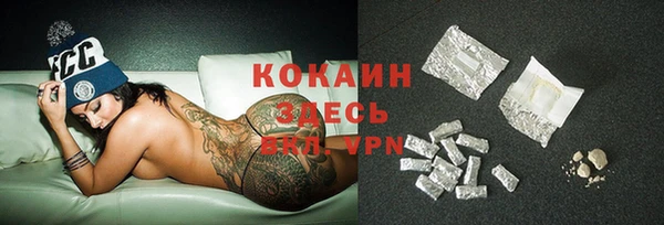 кокс Алексин