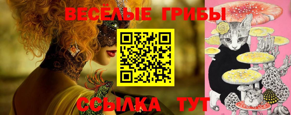Сосновый Бор  Псилоцибиновые грибы прущие грибы  Вход с VPN 