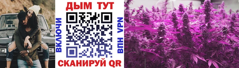 blacksprut как войти  Сосновый Бор  МАРИХУАНА Amnesia 